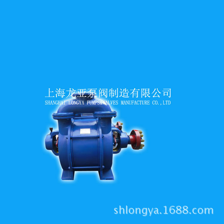 供应1SK-20大流量真空泵 1SK-85变频真空泵 1SK型真空泵