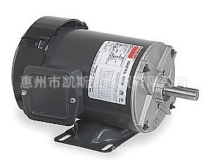 LEESON电机 LEESON C6T17FB2E