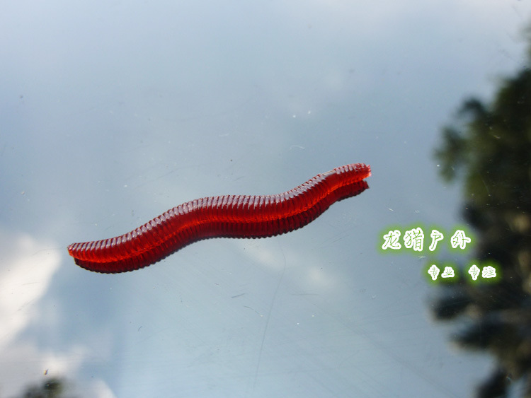 蚯蚓2