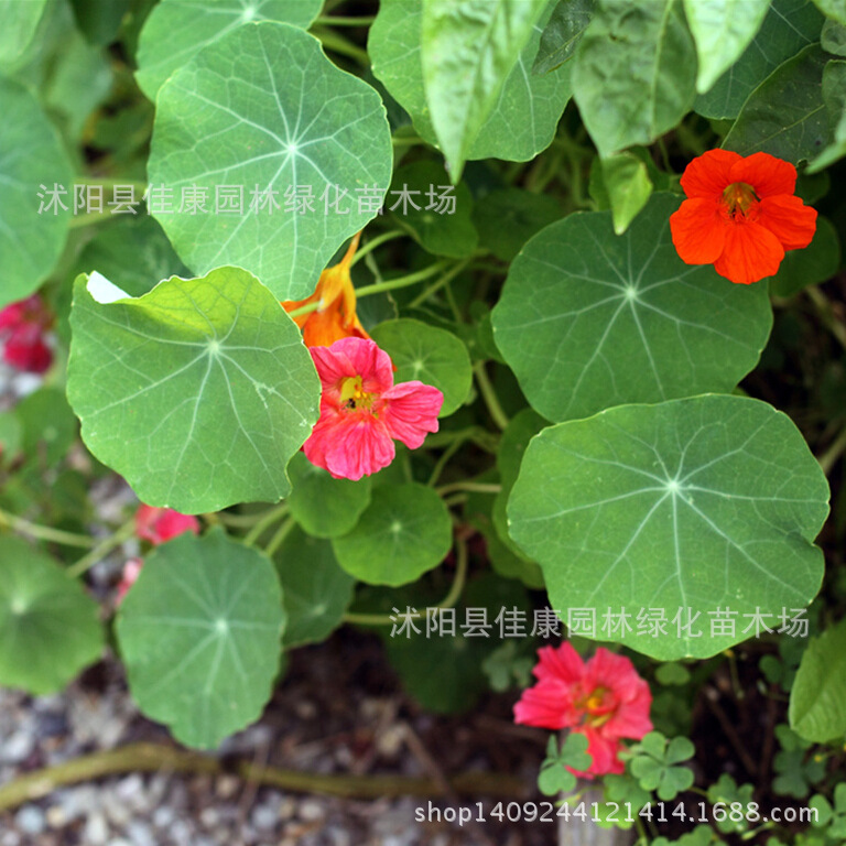 ������00