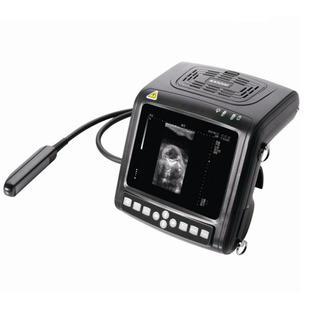 �P�� KX5200V �F��B�� �iţ����B���C �F�Üy��B����