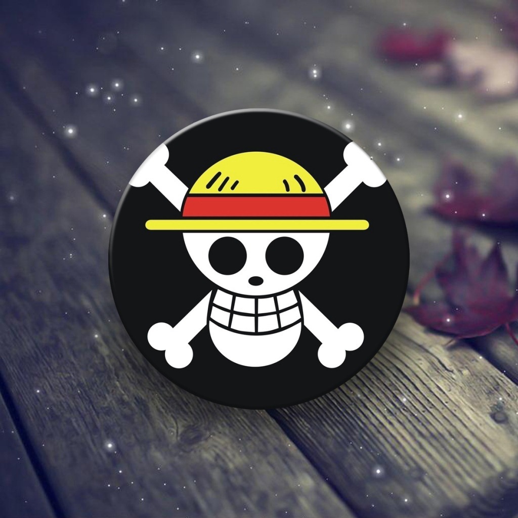 海賊王徽章實物圖-01