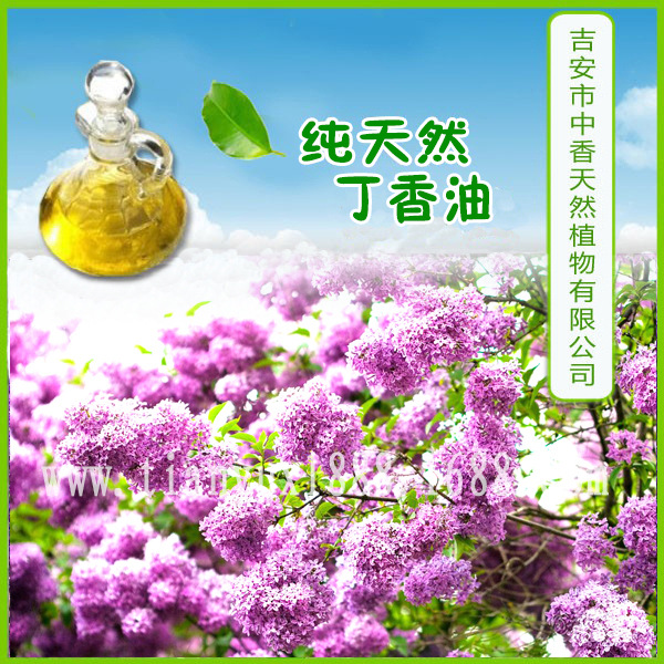 丁香油