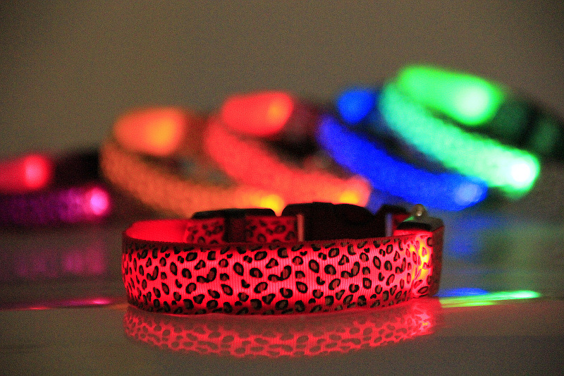 豹纹LED发光狗项圈 挺好品牌 (36)