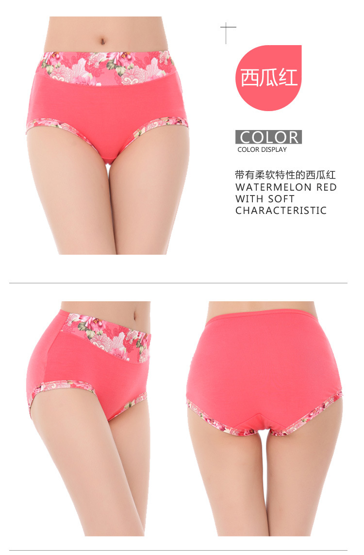 Slip jeunesse en coton - Ref 651448 Image 13