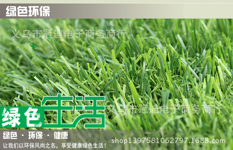 804加密春草2cm_04