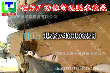 食品廠活性污泥脫水效果圖