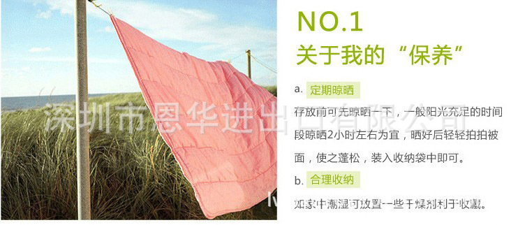 棉花被的自我保養(1)
