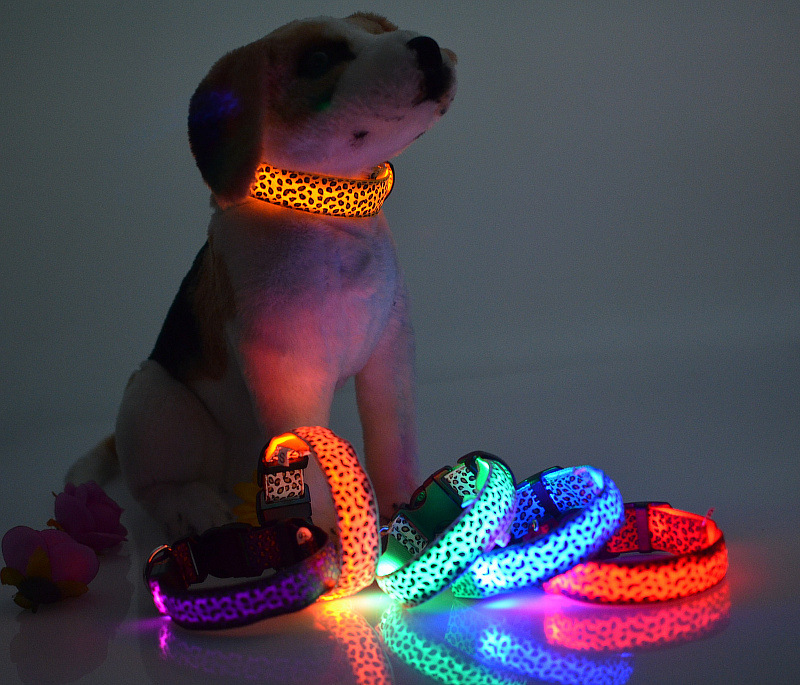 dog collar light