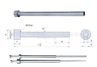 716852481_920559789.310310
