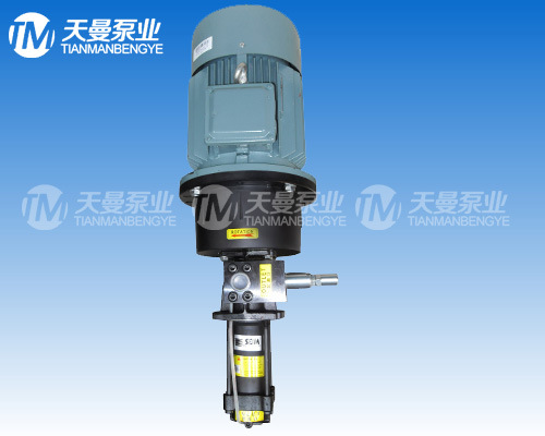 SEIM螺杆泵供应 PA045#4A三螺杆泵原装进口 支持支付宝交易