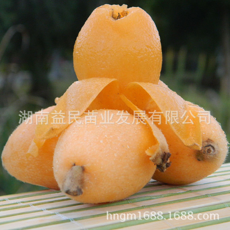 T1LfwOFlxeXXXXXXXX_!!0-item_pi