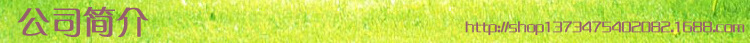 公司簡介