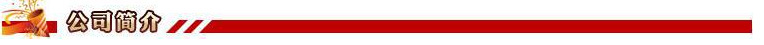 公司简介