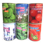 Cans Flowers/Canned flower/Tin flower/Mini plant