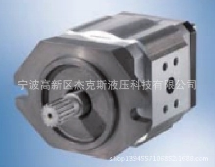德国EIPS2-025RK04-S111齿轮泵