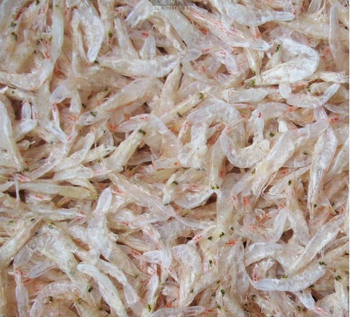 鱼虾色选机,色选分颜色效果好淡菜水海产品海鲜鱼虾色选机