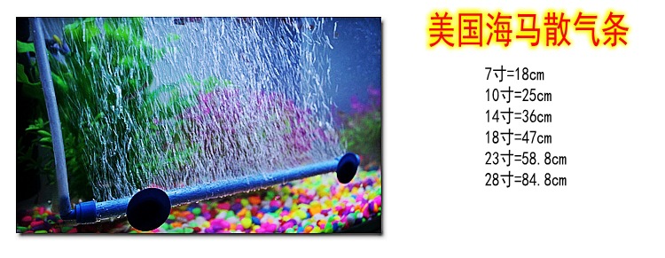 海马汽泡条1_conew1