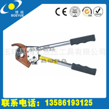 ����������݆����J40�������r�����gӭ�xُ