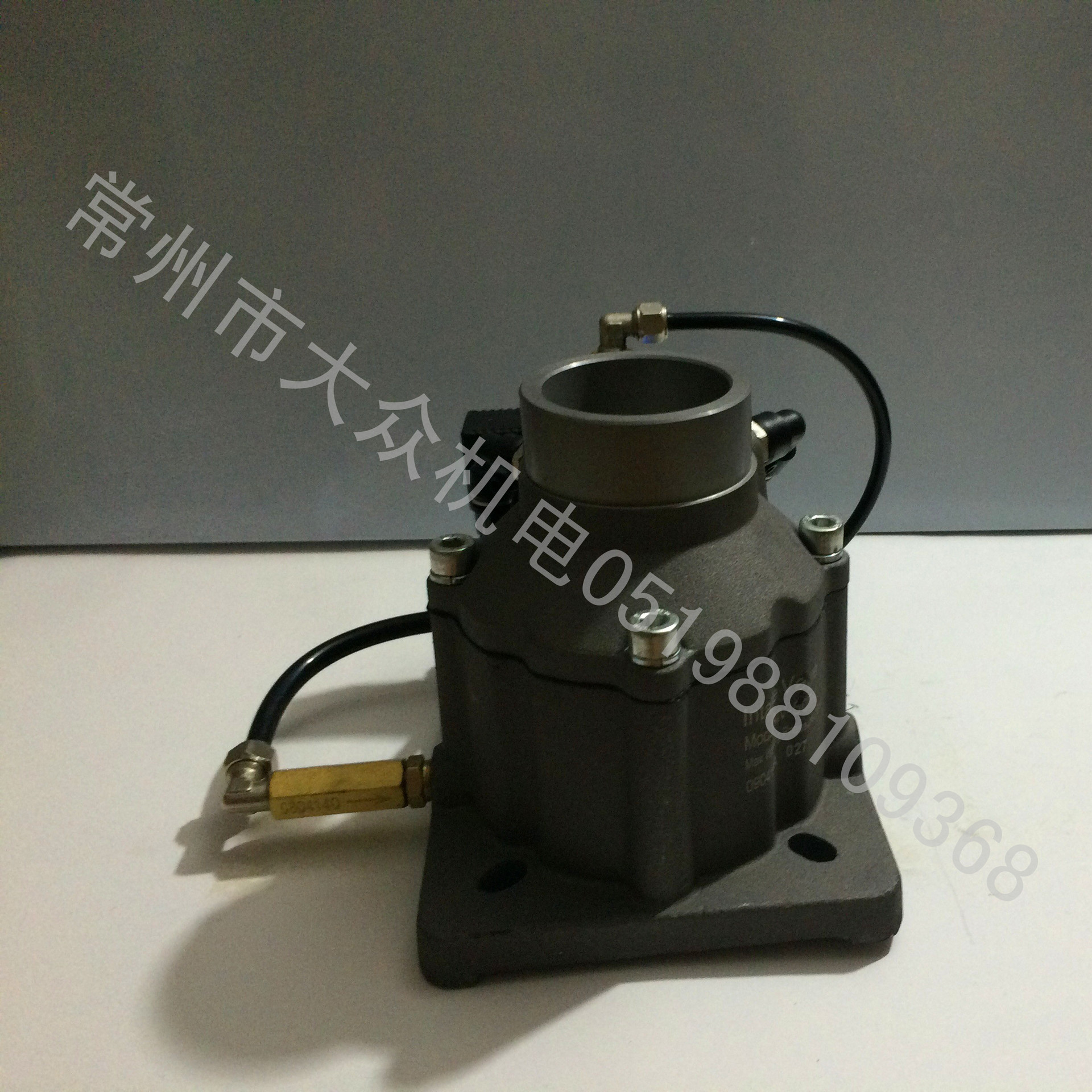 My PicturesIMG_1994_副本