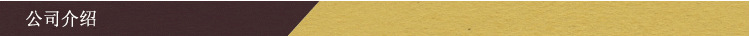 公司介紹