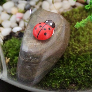 Micro landscape decorations small beetle wood ladybug creative potted flower gardening decoration accessories