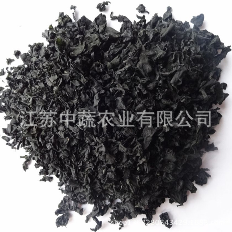 供应裙带菜 裙带菜叶干 脱水裙带菜 裙带菜干 脱水裙带菜干