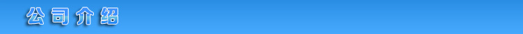 公司介绍