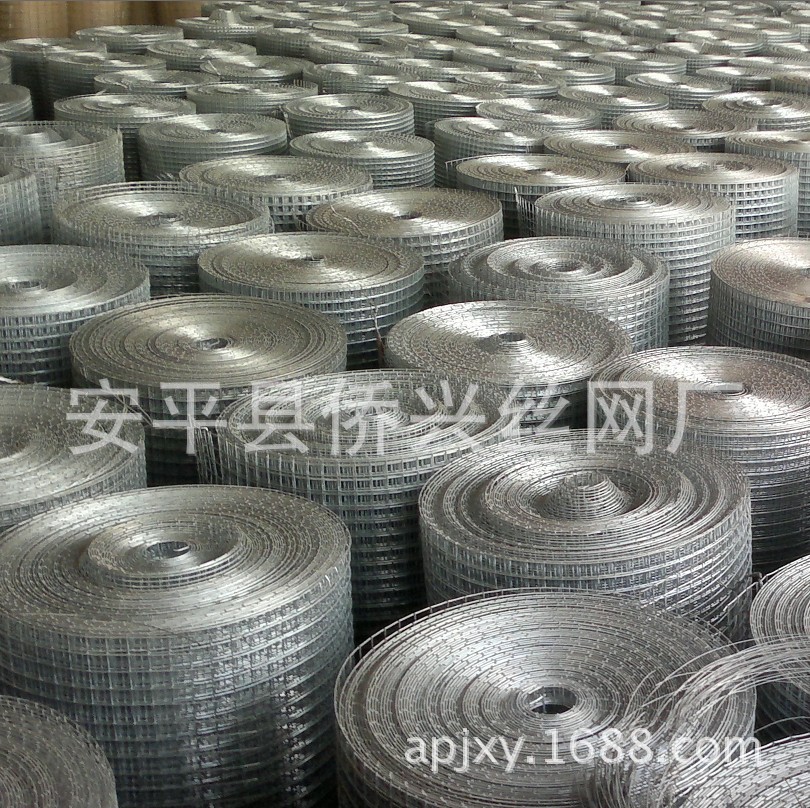廠家專業供應各種規格高質量鍍鋅電焊網 鍍鋅鐵絲網