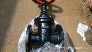 �~о�~�U�l�y�����͡�  Z45T-10 DN65 �S��ֱ�N �|���r��