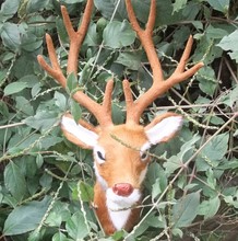 �ֹ�С¹�^ �ֹ�ˇƷ �����^��� ����¹�^�������