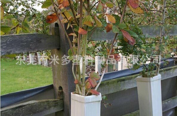 用于保暖保护树木花草pp塑料瓦楞板 形状可定制