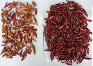 辣椒色选机,辣椒籽色选机,辣椒干色选机,辣椒圈色选机