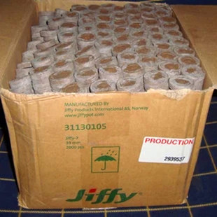 Jiffy����K�I�B�����猣���� 38����