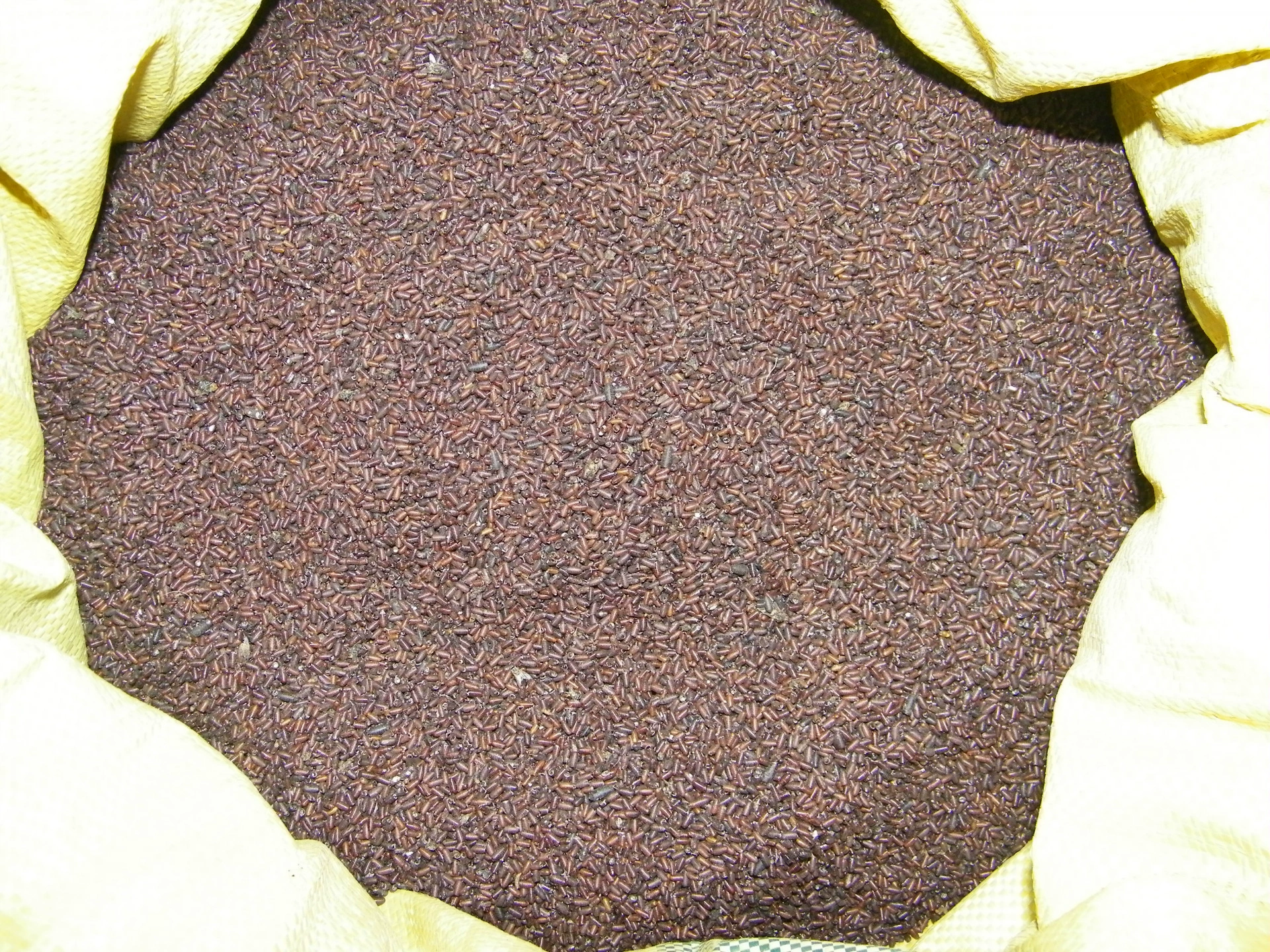 Поставка домашних куколок мух/пшеничные отруби/1000 г