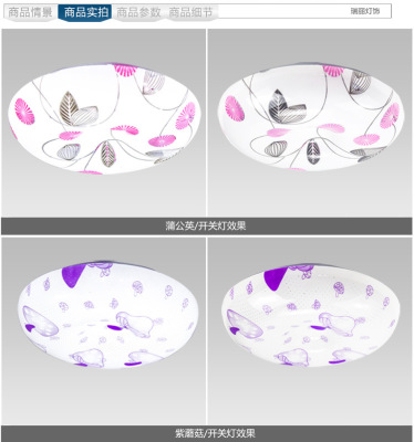 led大拉伸吸顶灯 新款现代简约阳台厨卫灯具 创意吸顶灯批发|ms