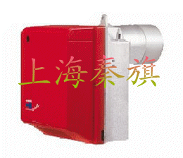 GULLIVER RG 2 RG3 RG4S RG5S RL34 RL44 RIELLO燃烧器 RG3D RG4D