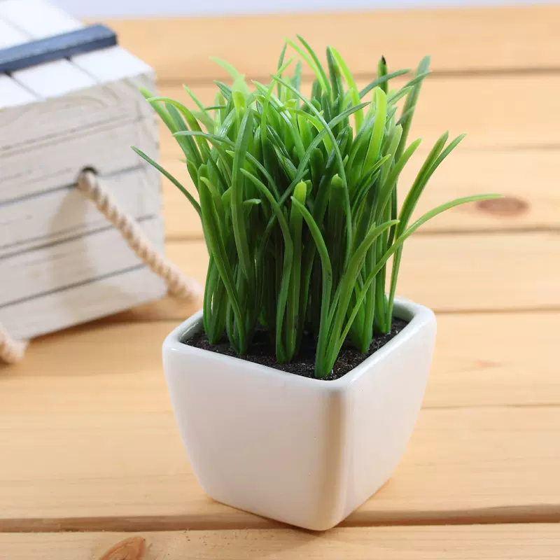 春草多肉仿真植物盆栽花卉白色陶瓷盆拍摄道具家居装饰花