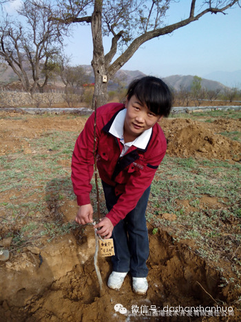 4月19日门头沟特产大山山货党支部在北京国际核桃庄园的“党员林”进行植...