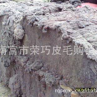 �S�ҹ������l ���|̼���d��ëϴ����që�� ����ë��