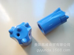 DSC02695 [原始大小]