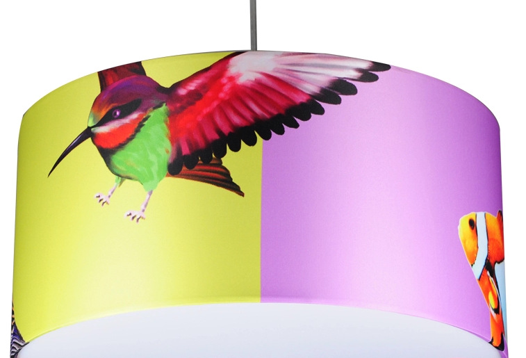 QQ圖片20141130105516