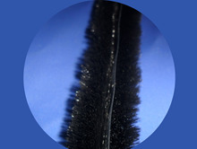 軯AƬëlmܷˮëloط©Ʒ|