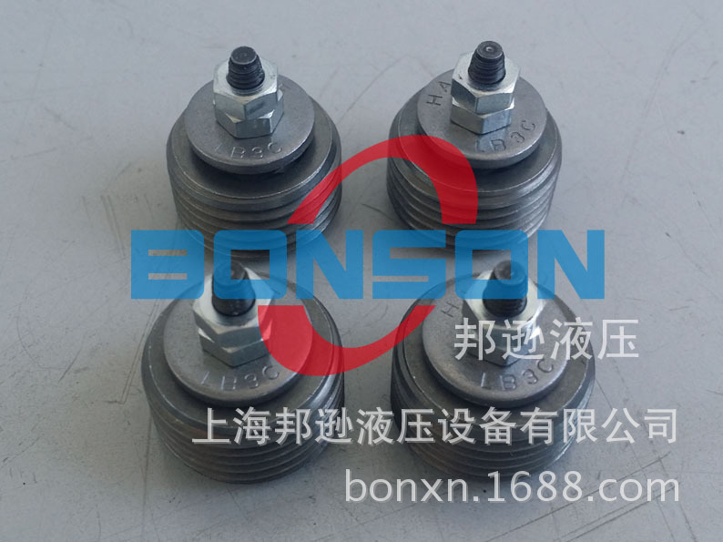 HAWE/哈威 LB3C-63,LB3C-50