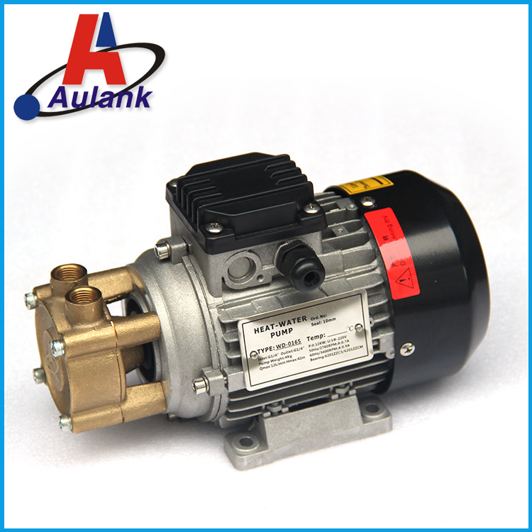 WD-016S噴砂電機(jī)120W小型高溫泵