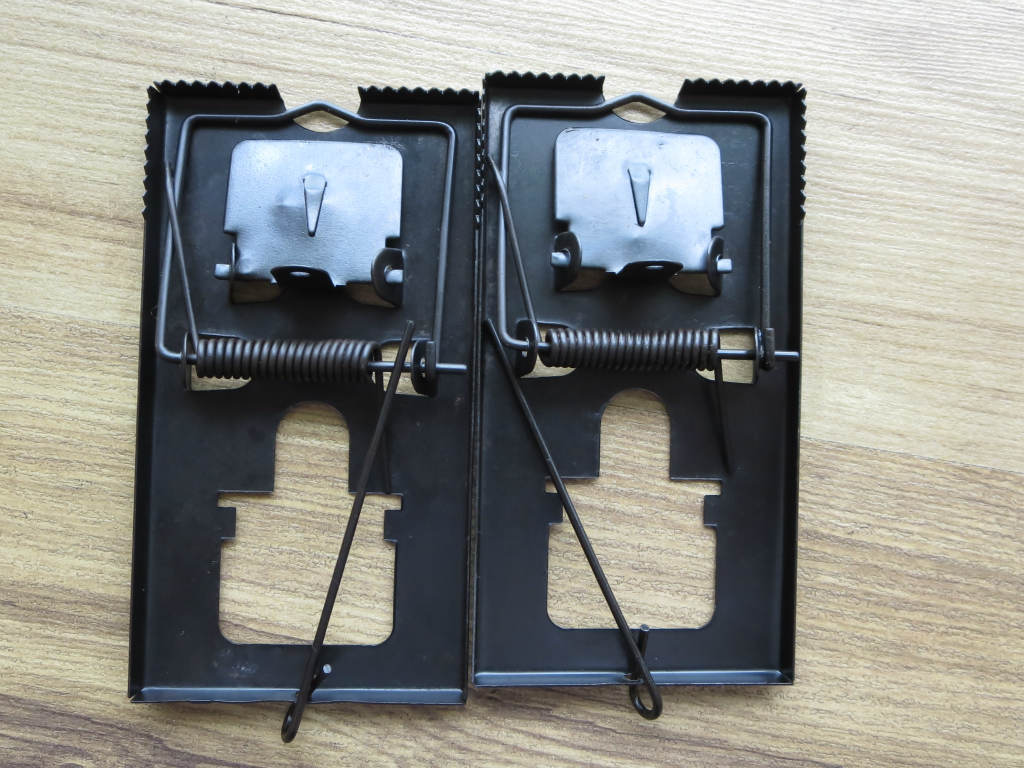 1e4516872c9070941a9db582334546