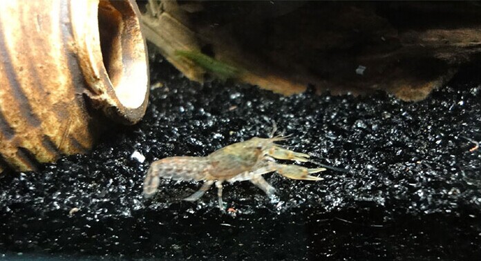 QQ圖片20141030125731