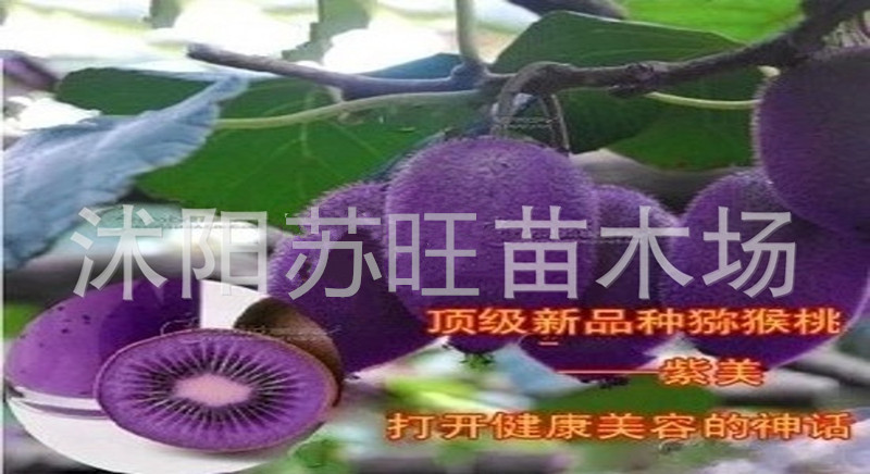 1309766151_1229229946