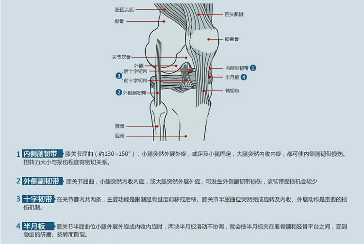 加-17