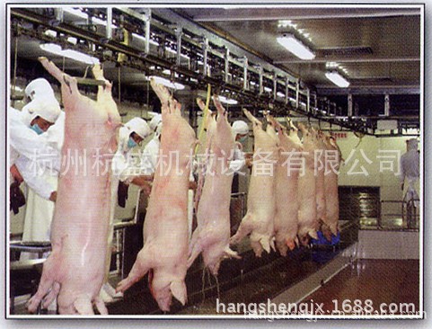 猪屠宰设备,宰猪设备猪,宰杀设备,杀猪设备